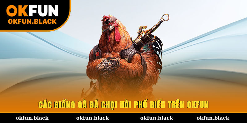 Các giống gà đá chọi nòi phổ biến trên OKFUN