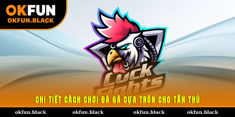 Chi tiết cách chơi đá gà cựa tròn cho tân thủ