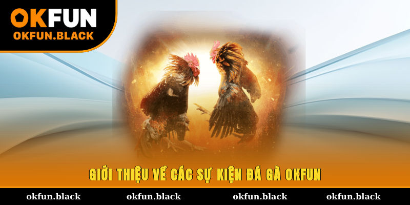 Giới thiệu về các sự kiện đá gà OKFUN