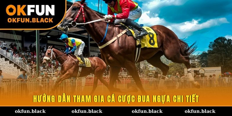 Hướng dẫn tham gia cá cược đua ngựa chi tiết