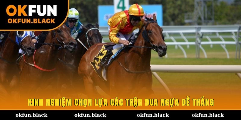 Kinh nghiệm chọn lựa các trận đua ngựa dễ thắng