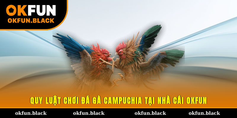 Quy luật chơi đá gà Campuchia tại nhà cái OKFUN