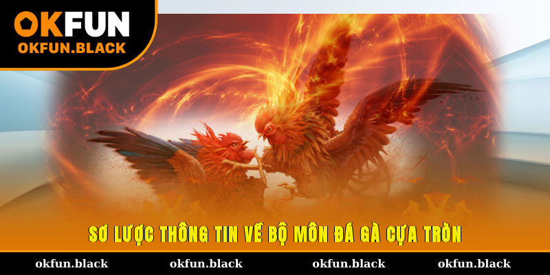 Sơ lược thông tin về bộ môn đá gà cựa tròn